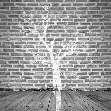 Light and shadow concept, empty room, white brick wall, wooden floor Stock Photos