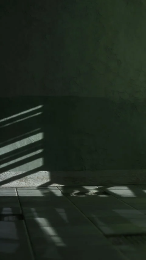 Light and shadow create patterns on a floor in a quiet indoor space Stock Footage 337976147