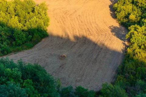 Light and shadow in a field Stock Photos