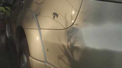 Light and Shadow 動画素材 313475530