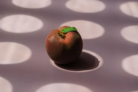 Light and shadow geometric composition with a peach on a pink background. Rip Stock Photos
