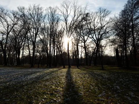 Light and shadow in jena paradise at winter Foto stock