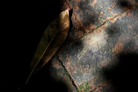 Light and shadow on the old brick Stock Photos