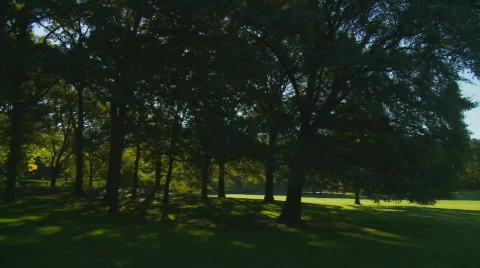 Light and shadow park pan shot Stock Footage 272188
