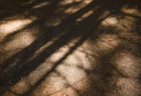 Light and shadow patterns fall across ground surface outdoors. Natural textur Stock Photos