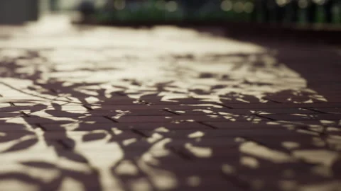 Light and shadow patterns on wooden surface in an outdoor area in the afternoon Stock Footage 340016558