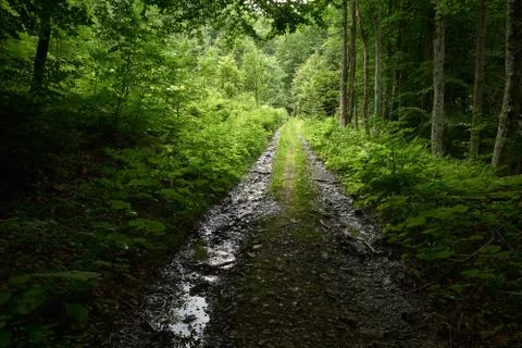 Light and shadow Stock Photos