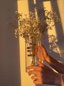 Light and shadow Stock Photos