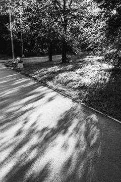 Light and Shadow Stock Photos