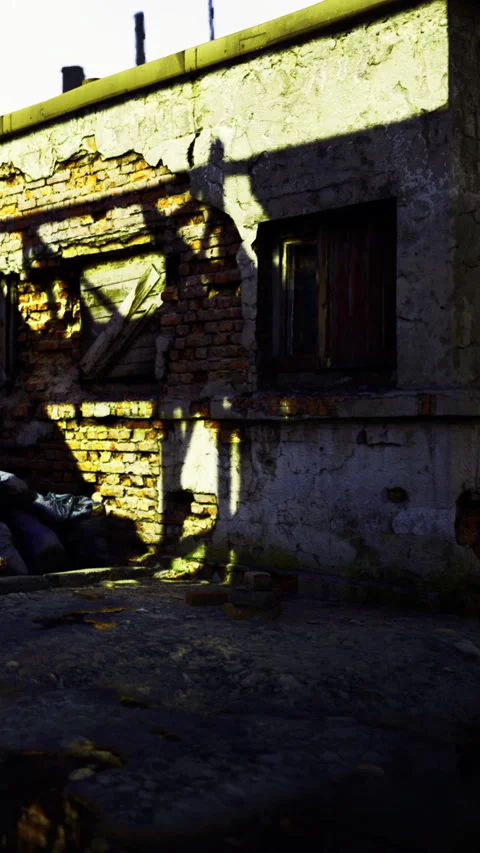 Light and shadow play on a brick wall in an urban area during the day Stock Footage 336187148