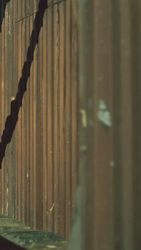 Light and shadow play on a wooden wall in an urban area during daytime Stock Footage 330269645