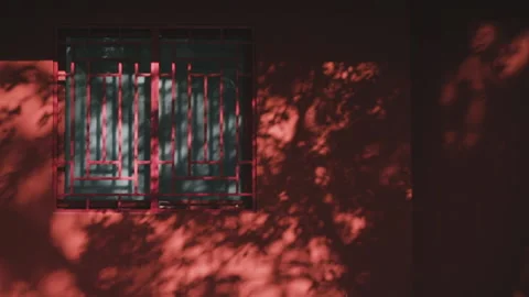 Light and shadow on the red wall in the park Stock Footage 233680770