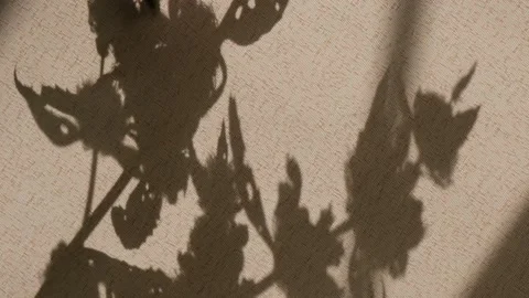 Light and shadow sunset on old retro beige fabric texture. Stock Footage 170625700