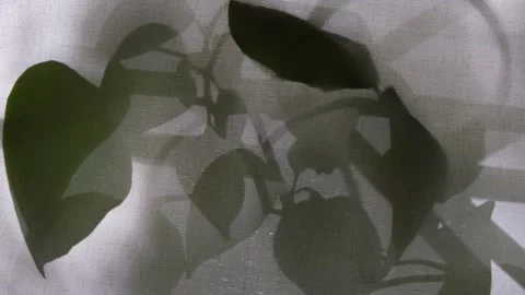 Light and shadow sunset on old retro beige fabric texture. Stock Footage 238507002