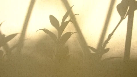 Light and shadow sunset on old retro beige fabric texture.  vintage Stock Footage 316512063