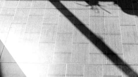 Light and shadow time-lapse photography, light and shadow changes, time passes. Video stock 229101211