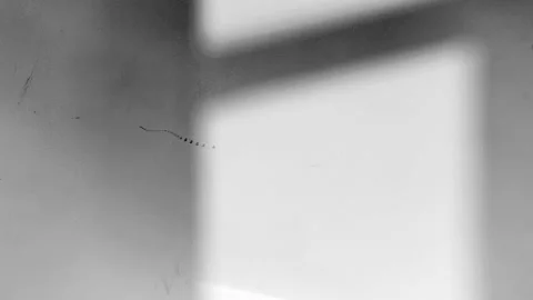 Light and shadow time-lapse photography, light and shadow changes, time passes. Video stock 229101321