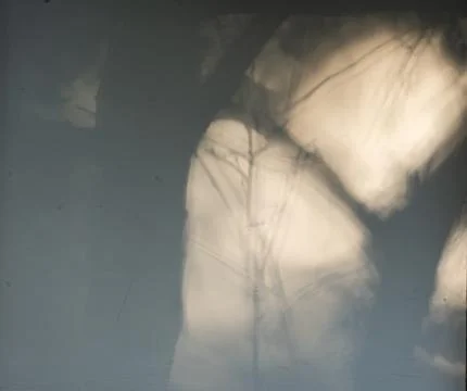 The light and shadow of the tree branches are reflected on the wall. Photos