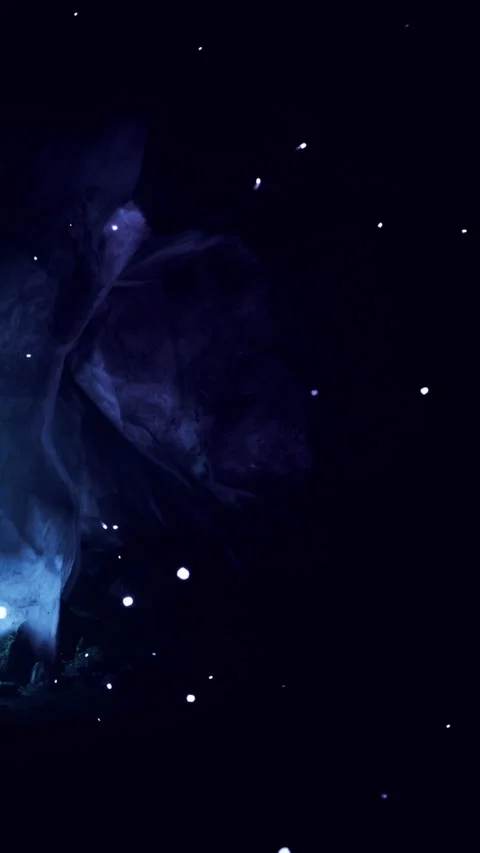 Light and shadows dance in a dark forest scene during nighttime Stock Footage 330162755