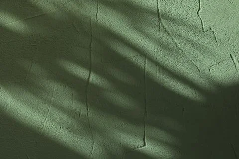 Light and shadows falling on sage color textured wall 스톡 사진