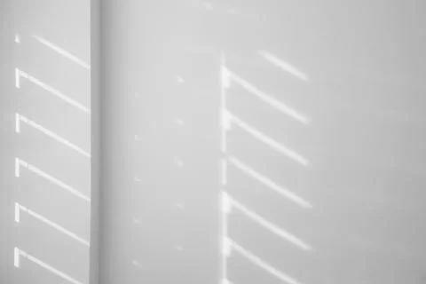 Light and shadows falling on white wall 스톡 사진