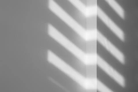 Light and shadows falling on white wall 스톡 사진