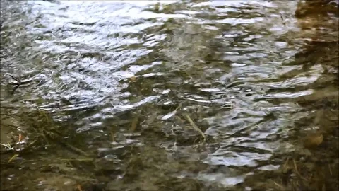 Light and shadows on the surface of shallow water Stock Footage 77862175