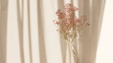 Light and shadows of waving white tulle near the window. Pink flowers in a vase Stock-Footage 260874057