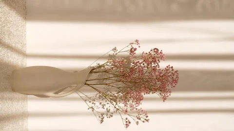 Light and shadows of waving white tulle near the window. Pink flowers in a vase Stock-Footage 276535000