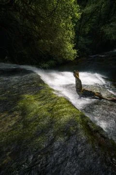 Light and water play with a twisted log at a waterfall Stock Photos