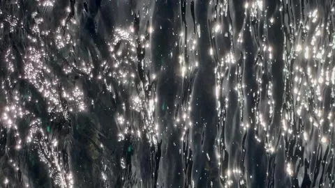 "Light and Wave freqency" Stock Footage 318628179