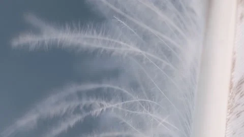 Light and weightless down of a bird. Macro shot. Stock Footage 157387244