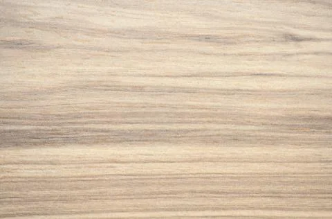 Light ash, flat surface of natural wood with a characteristic close-up patter Stock Photos