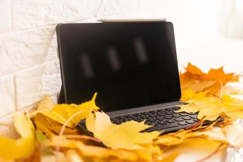 Light up Autumn maple leaves near to the laptop computer. Colorful and cozy fall 写真素材