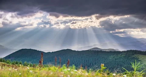 Light autumn storm Stock Footage 171475686