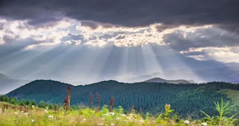 Light autumn storm Stock Footage 171475703