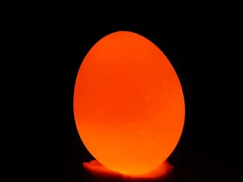 The light is on the back of the egg and the egg is bright yellow. Stock Photos