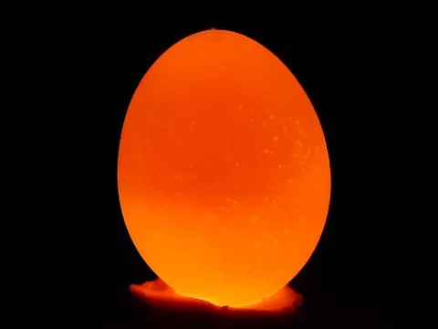 The light is on the back of the egg and the egg is bright yellow. Stock Photos