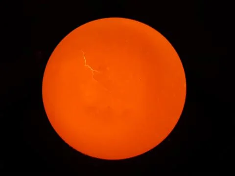 The light is on the back of the egg and the egg is bright yellow. Stock Photos
