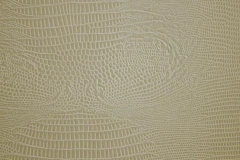 Light background, calm texture. 写真素材