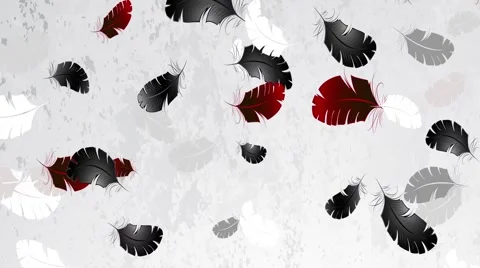 Light background with feathers Stock Footage 47974416