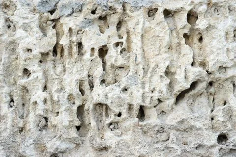 Light background of natural shell rock Stock Photos