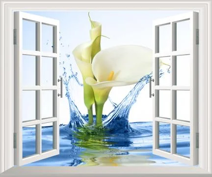 Light background, open window, splash of blue water, two white calla flowers Stock Illustration