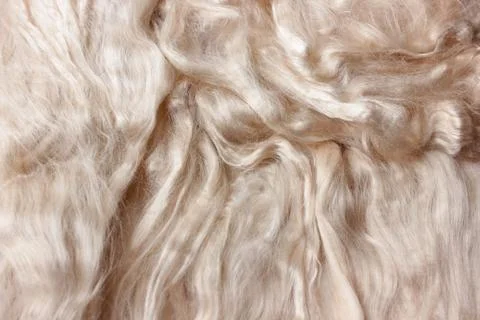 Light background with texture of wool curls Stock Photos