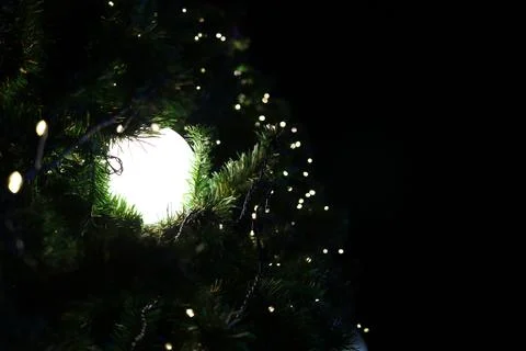 Light ball is on branch of artificial pine tree at night. Stock Photos