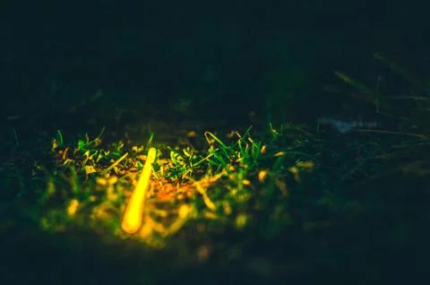 Light bar in the grass Stock Photos