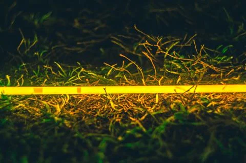 Light bar in the grass Stock Photos