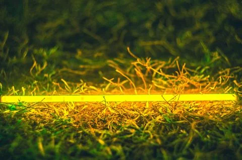 Light bar in the grass Stock Photos