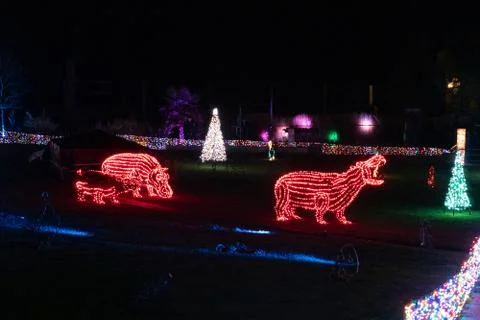Light based hippopotamus Fotos Stock