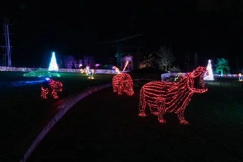 Light based hippopotamus Stock Photos